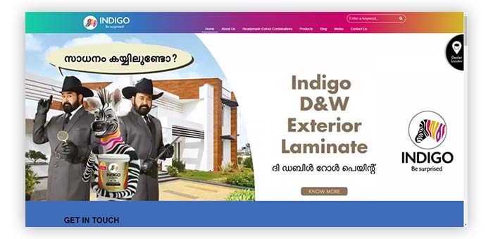 Indigo Paints